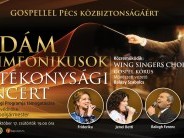 Vidám Szimfonikus Zenekar jótékonysági koncert