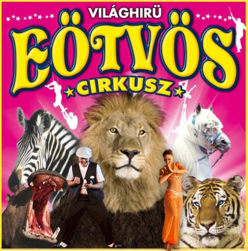 Eötvös Cirkusz 2013  - Eötvös Cirkusz Pécs